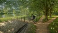nový bor park vizu Image
